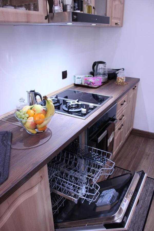 Ella Apartment Timisoara No11 Luaran gambar